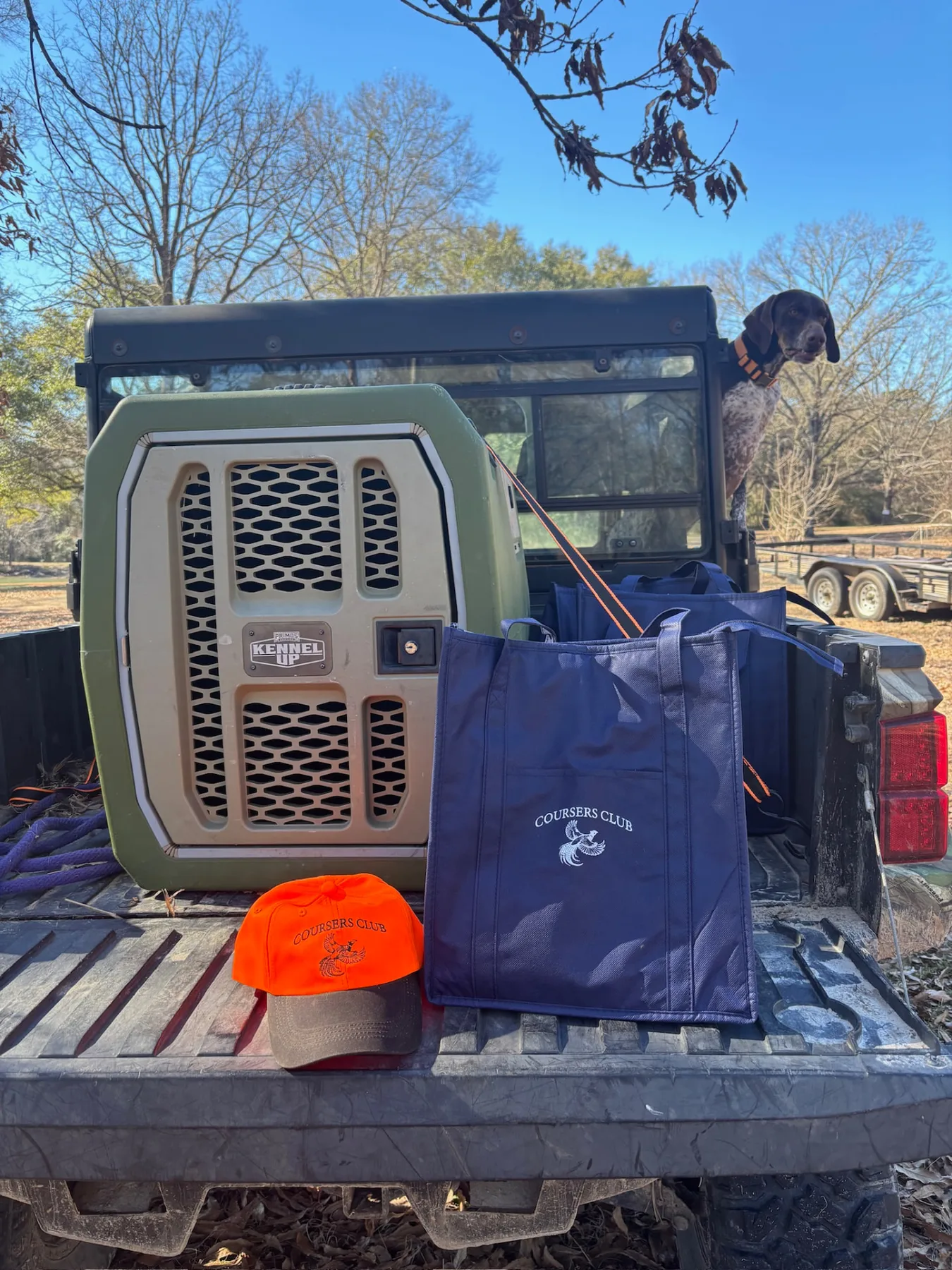 Coursers Club cap and tote bag on a tailgate with a pointer looking on